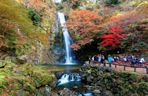 日本の滝100選にも選ばれている箕面大滝。